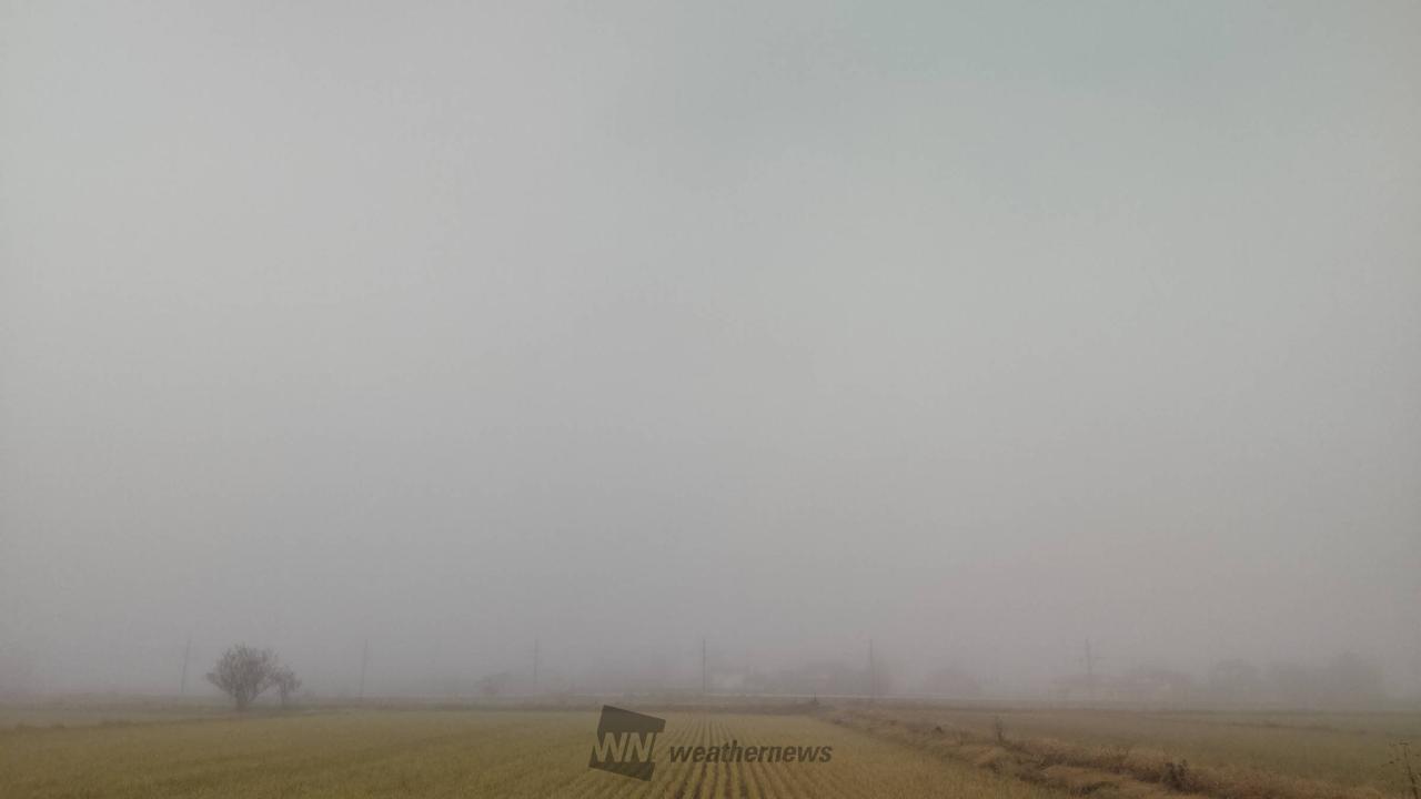 濃霧が発生 注目の空の写真 ウェザーニュース