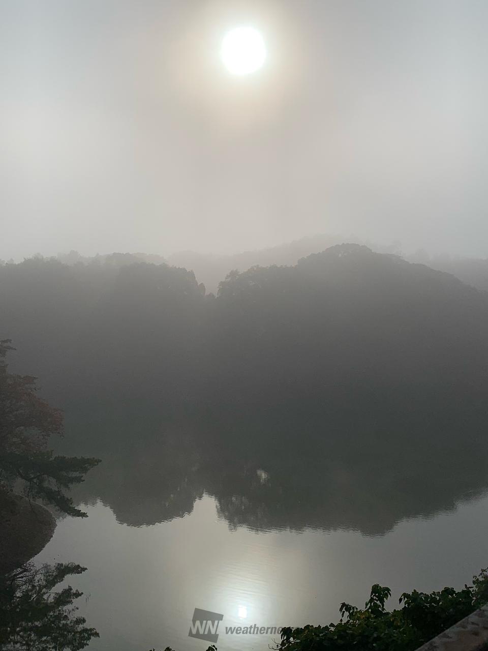 朝は霧が出ている所も 注目の空の写真 ウェザーニュース