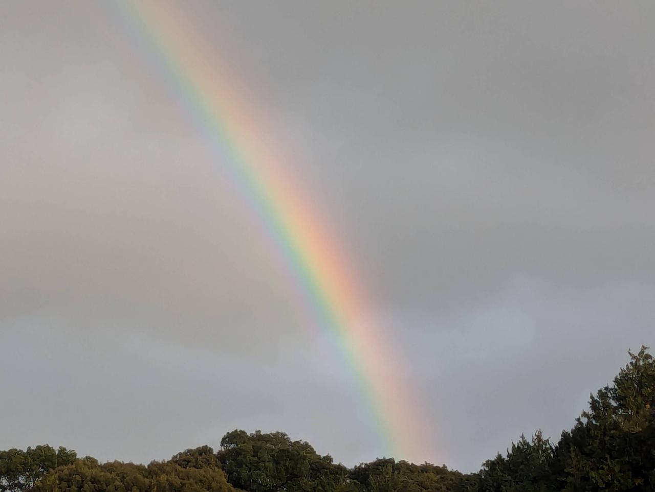 虹の橋がかかる週明け 注目の空の写真 ウェザーニュース