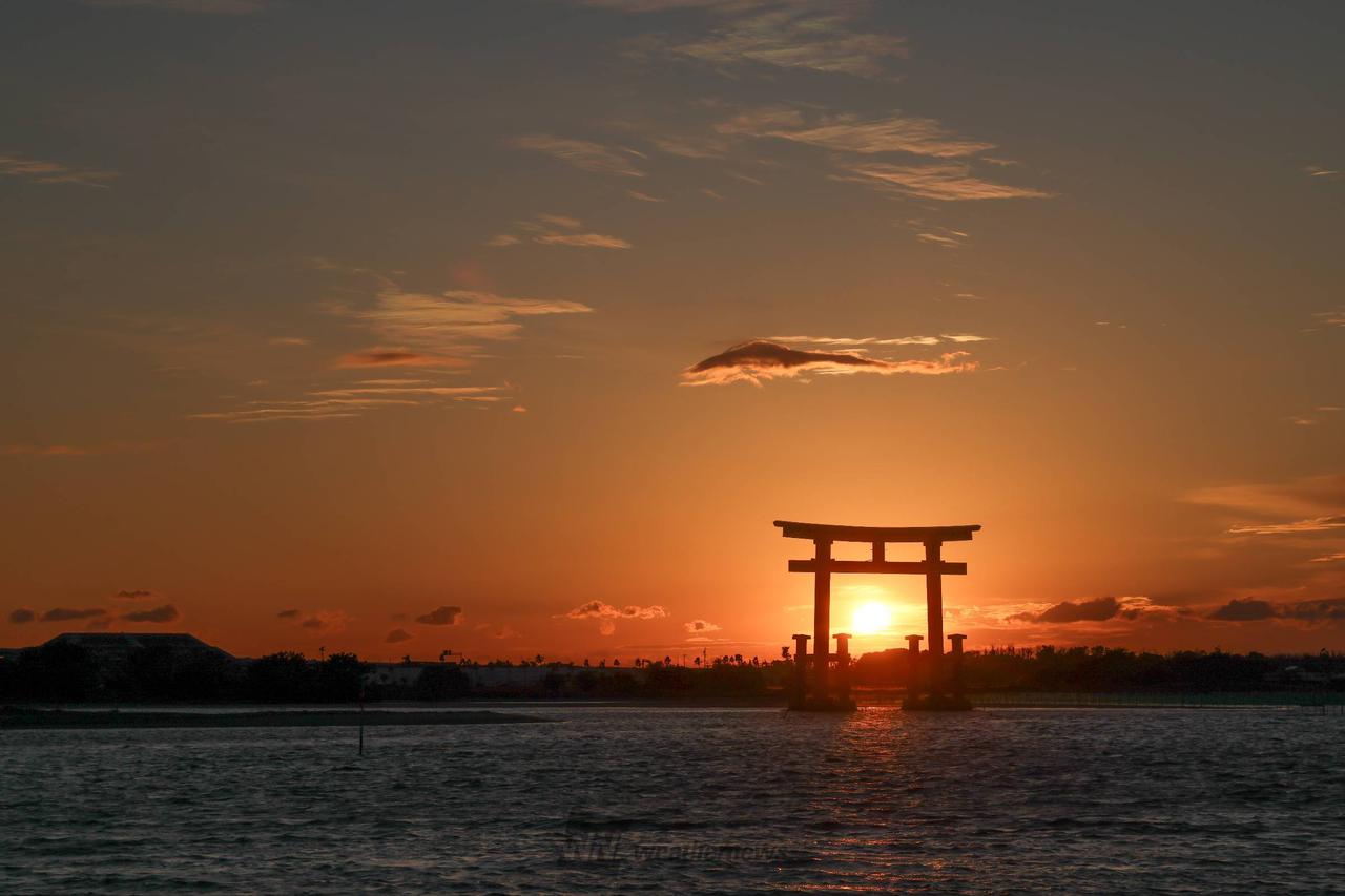 夕焼け鳥の休息 夕焼け鳥の休息 夕焼け鳥の休息 飛んでいる鳥自由