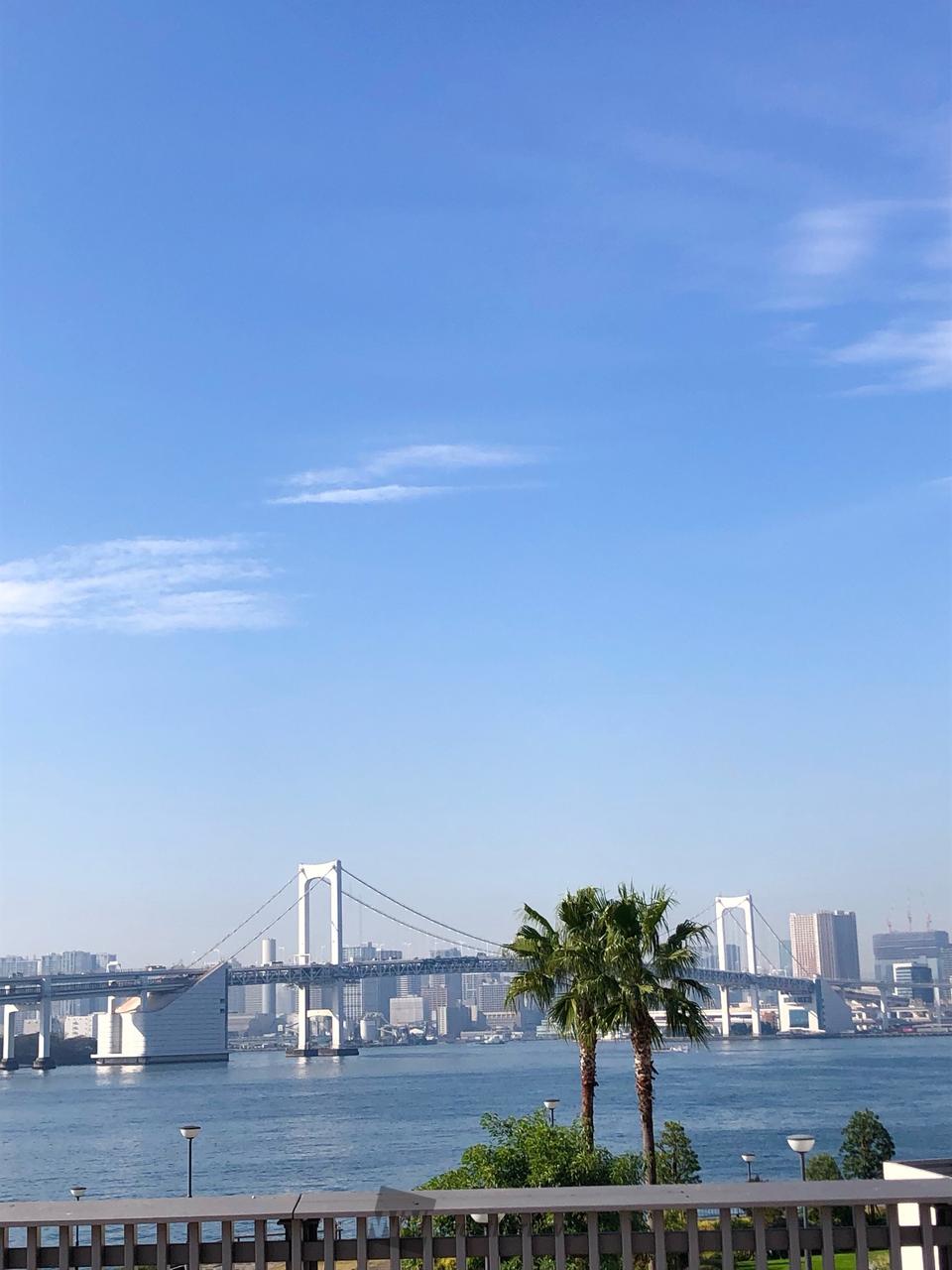 雨上がり、青空登場 注目の空の写真 ウェザーニュース