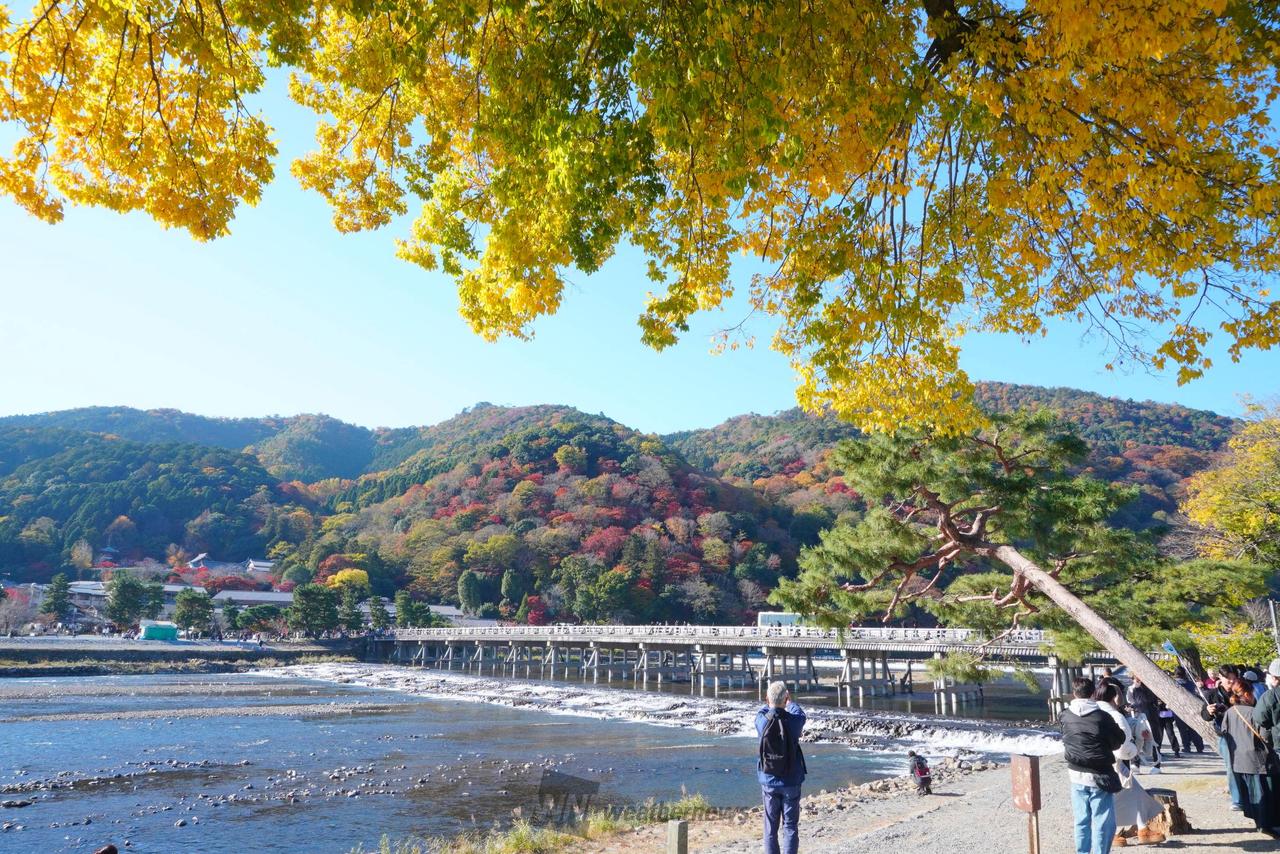 9:53渡月橋。山...