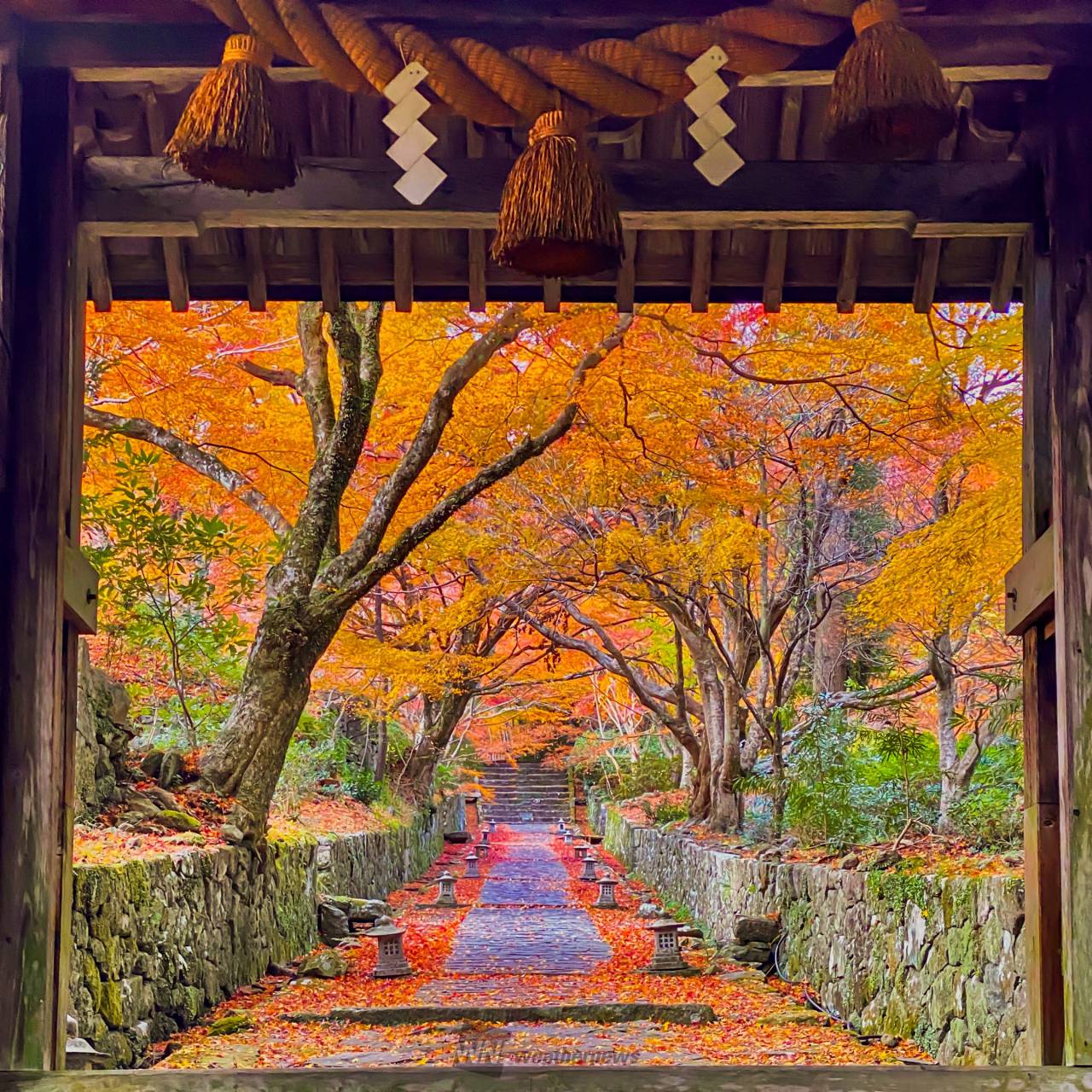紅葉絶景写真館 注目の空の写真 ウェザーニュース