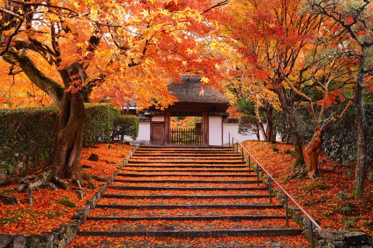 紅葉絶景写真館 注目の空の写真 ウェザーニュース