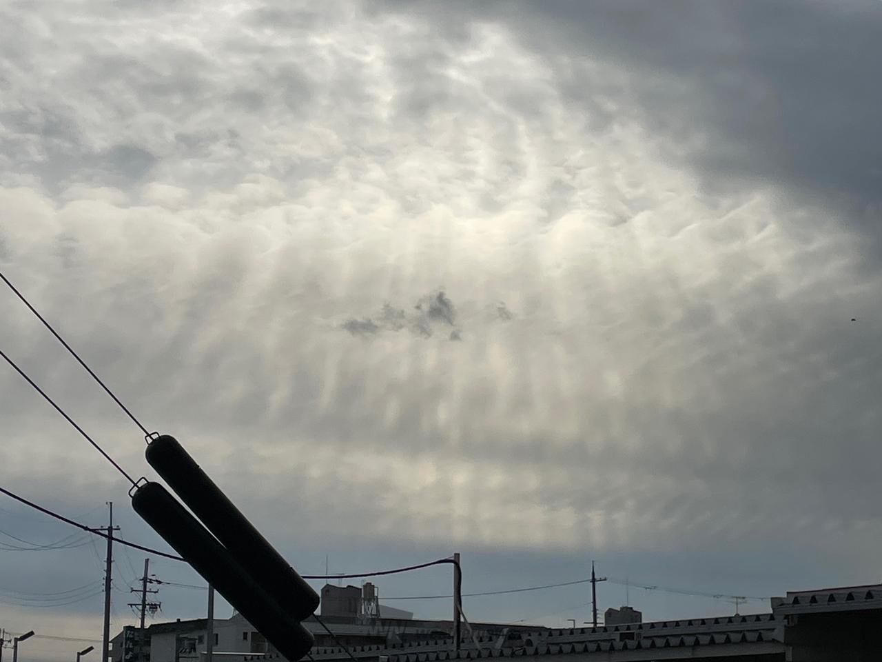 何に見える？雲画廊 注目の空の写真 ウェザーニュース