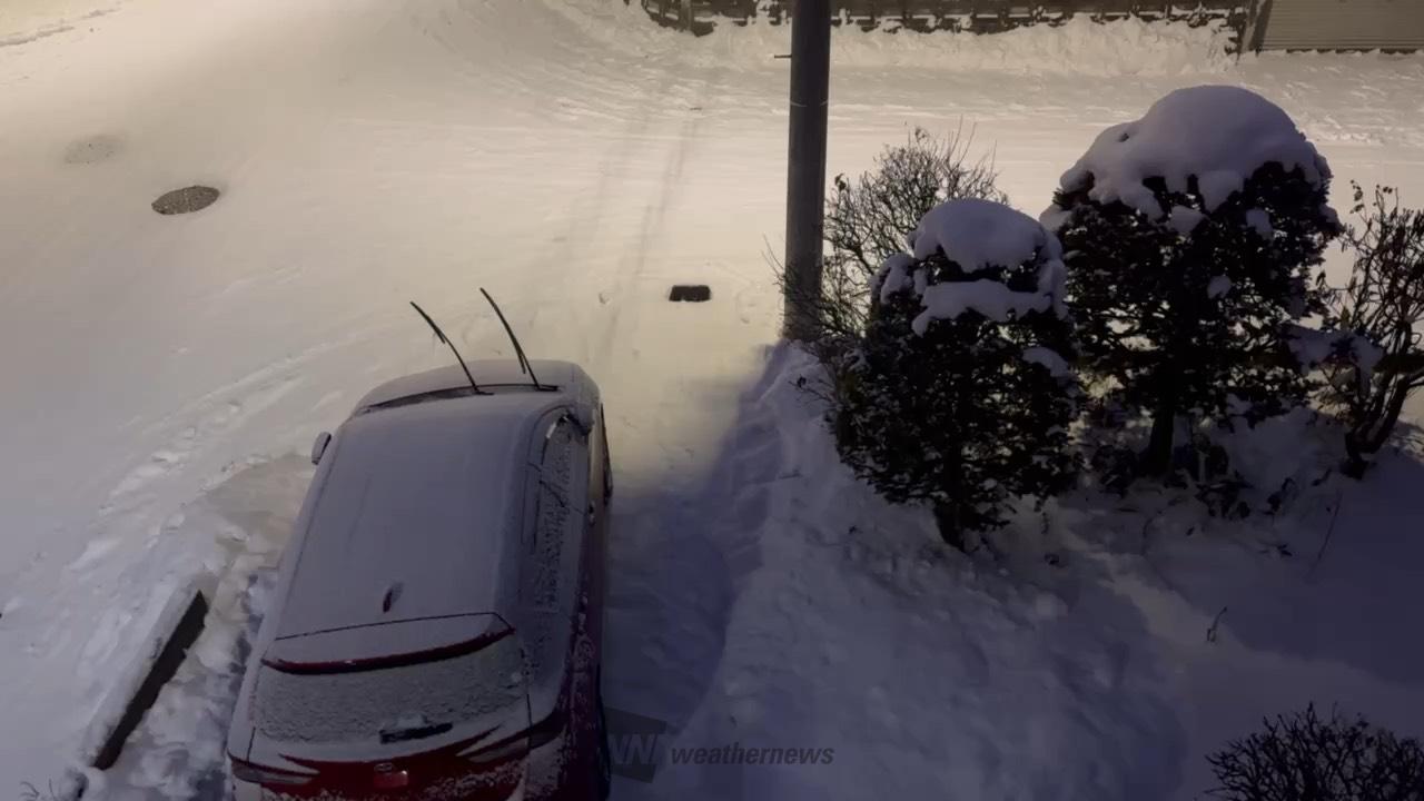 断続的に降る雪 注目の空の写真 ウェザーニュース