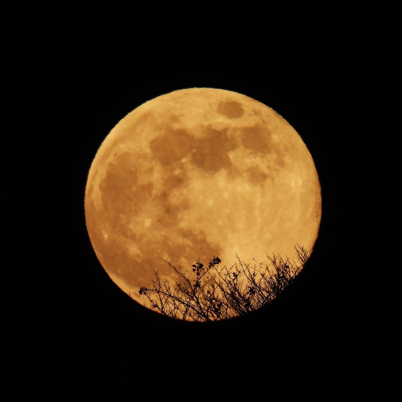 満月 2024年最後の満月🌕 注目の空の写真 ウェザーニュース