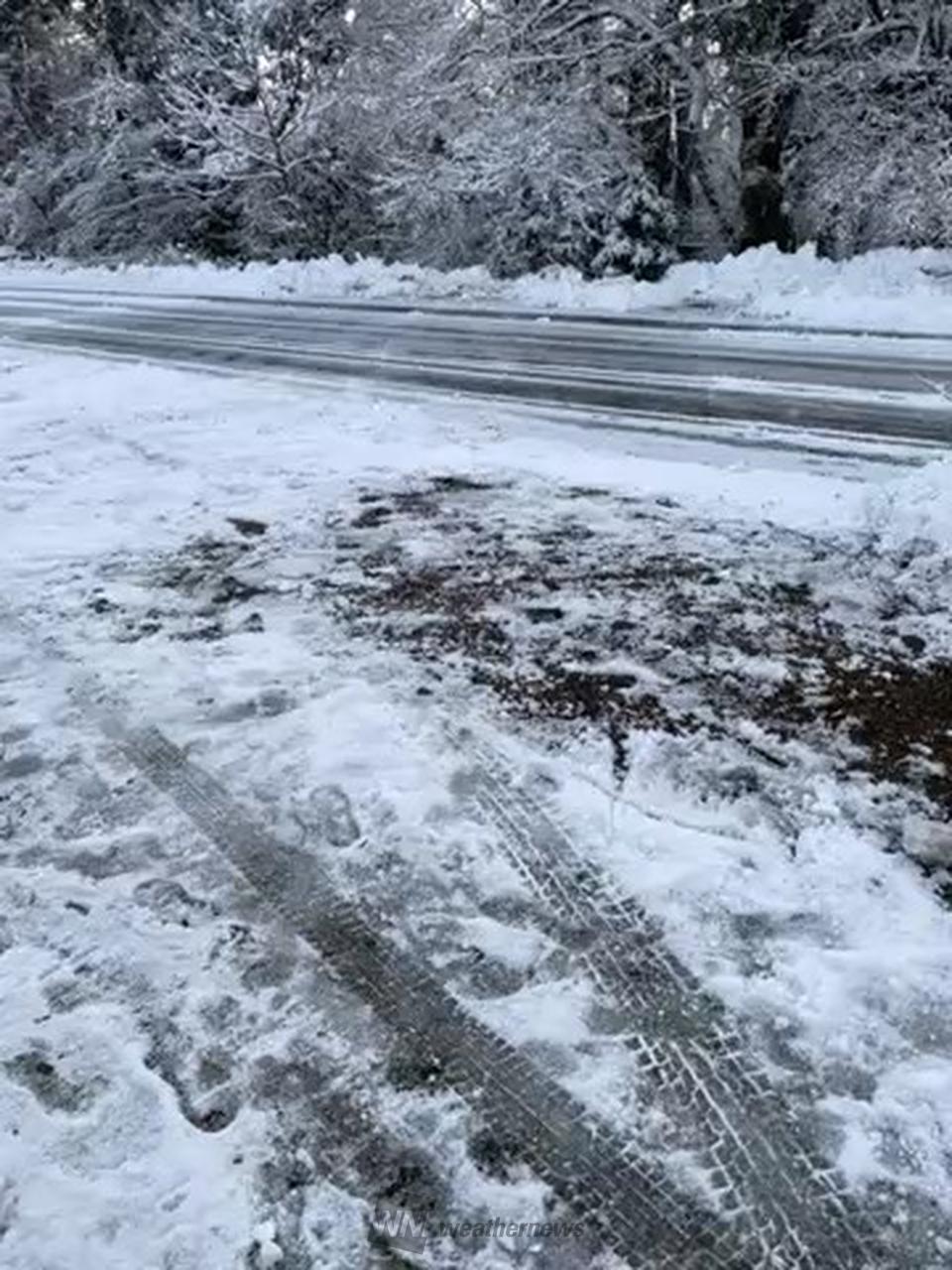 7時56分の空 今もちらちらと雪が降って | 岩手県北上市 | -ピコ