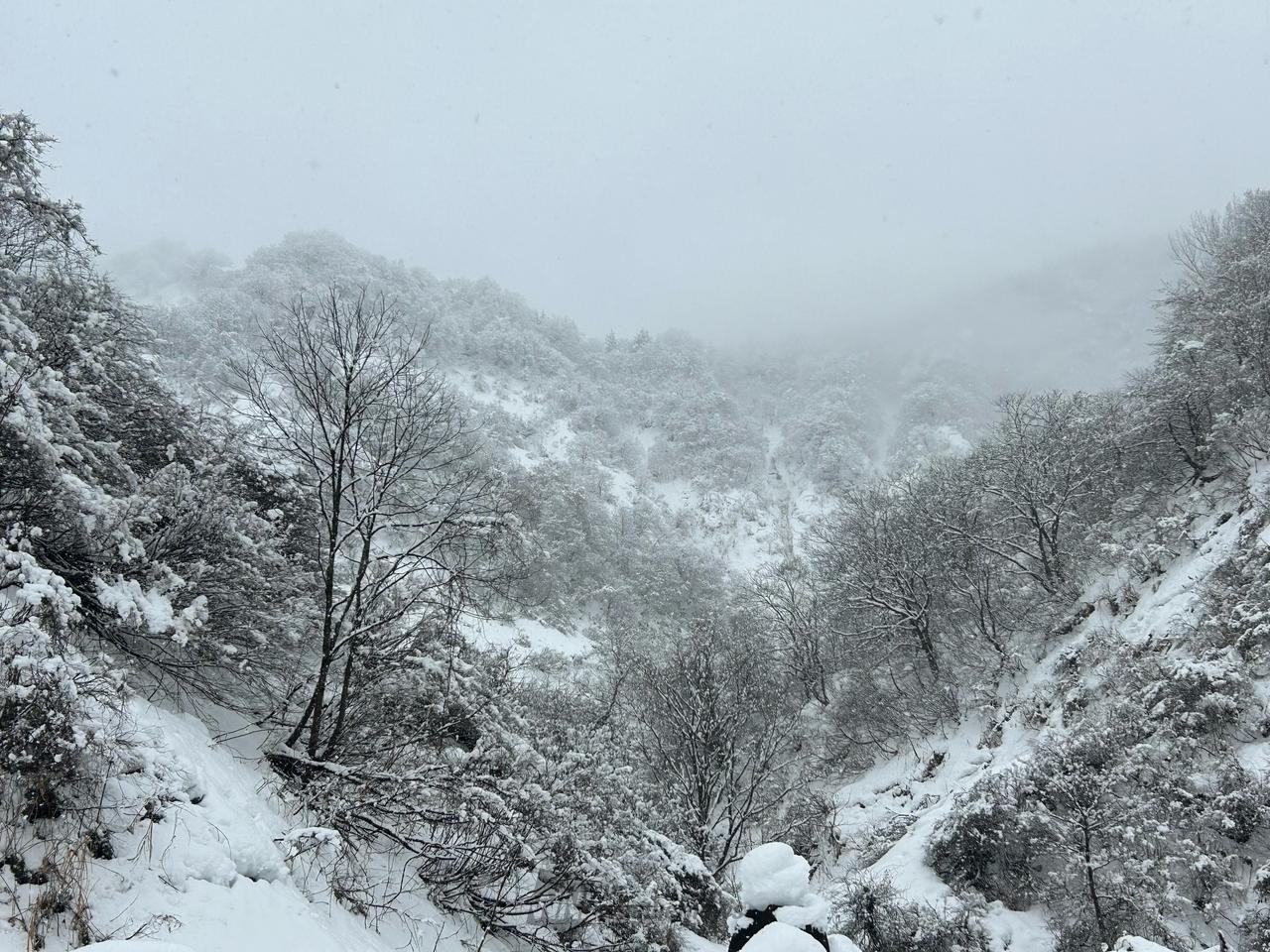強雪・吹雪に注意 注目の空の写真 ウェザーニュース