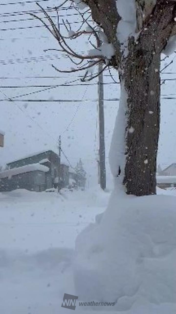 強雪・吹雪に注意 注目の空の写真 ウェザーニュース