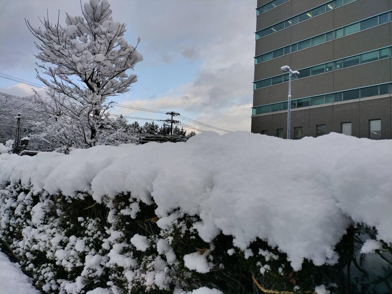 強まる雪、積雪の急増に注意 注目の空の写真 ウェザーニュース
