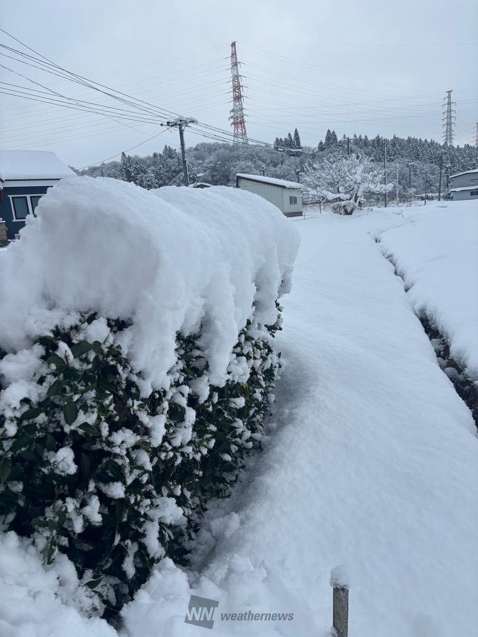 強まる雪、積雪の急増に注意 注目の空の写真 ウェザーニュース