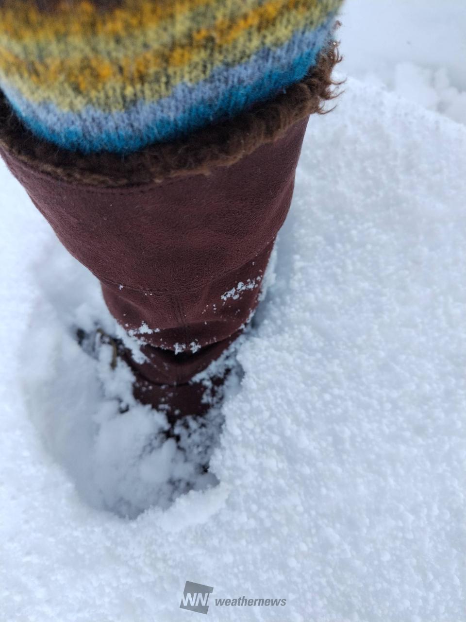 今朝までの積雪は？ 注目の空の写真 ウェザーニュース