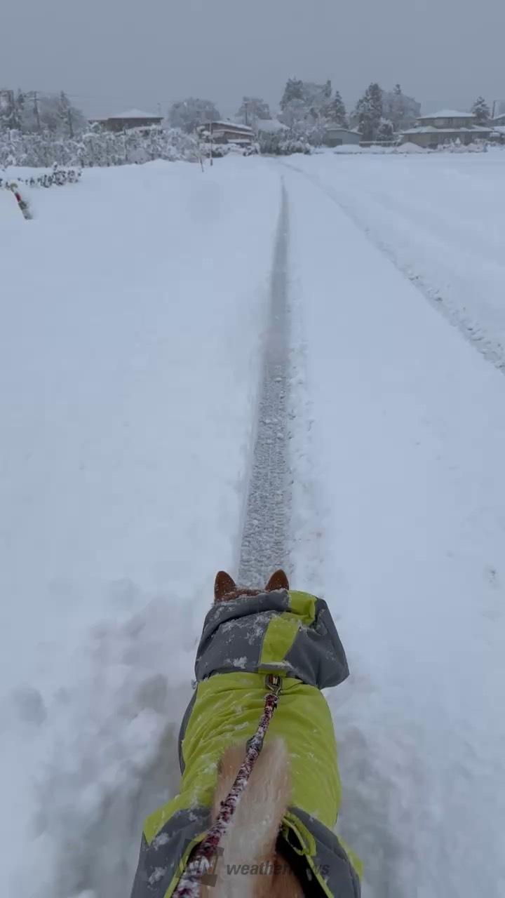 強まる雪に注意 注目の空の写真 ウェザーニュース