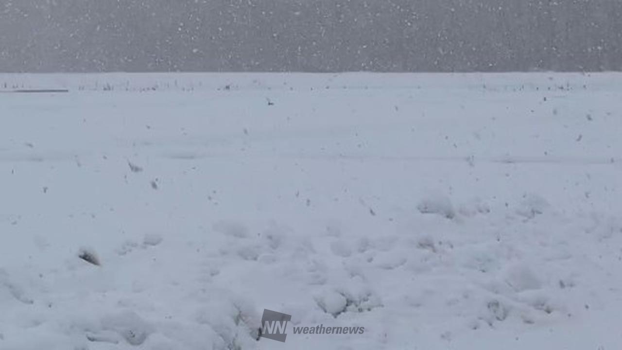強まる雪に注意 注目の空の写真 ウェザーニュース