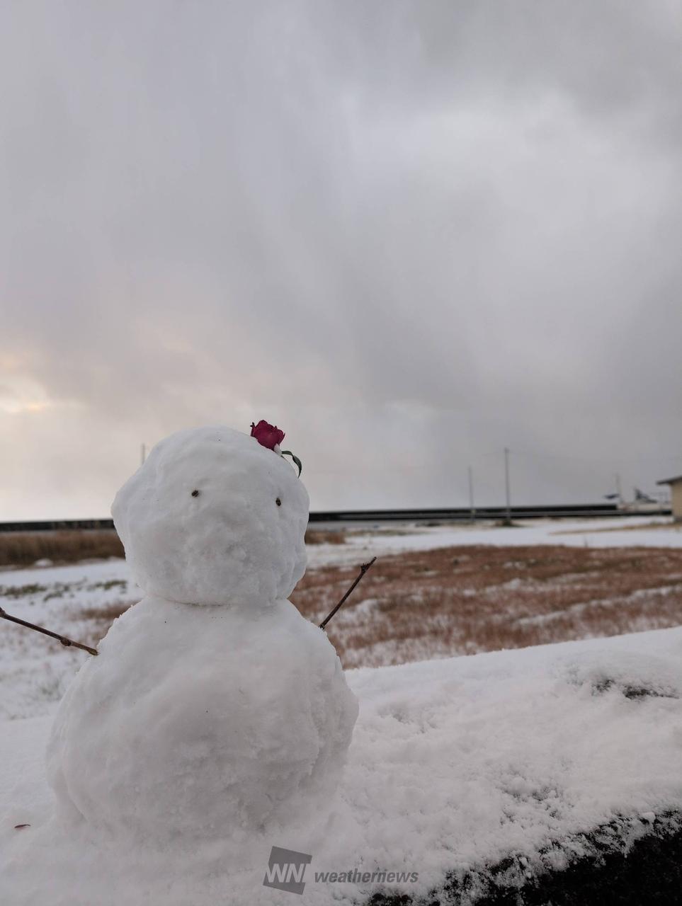 おはようございます。 積雪4cm程度。雪 | 新潟県佐渡市 | ラッキー