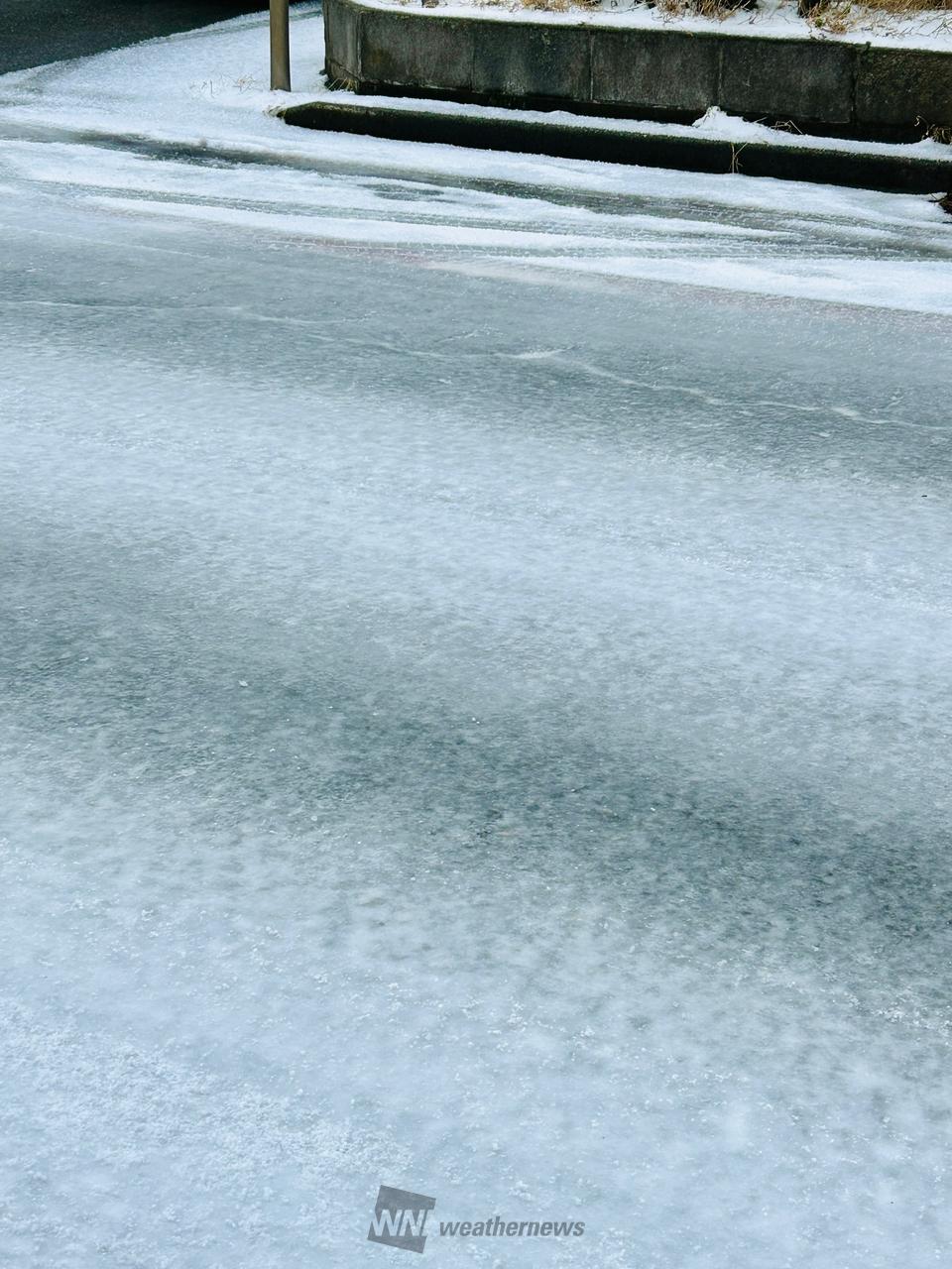 白雪様　ご確認用 新商品のお知らせ】 – ネイチャーテクニカラー公式