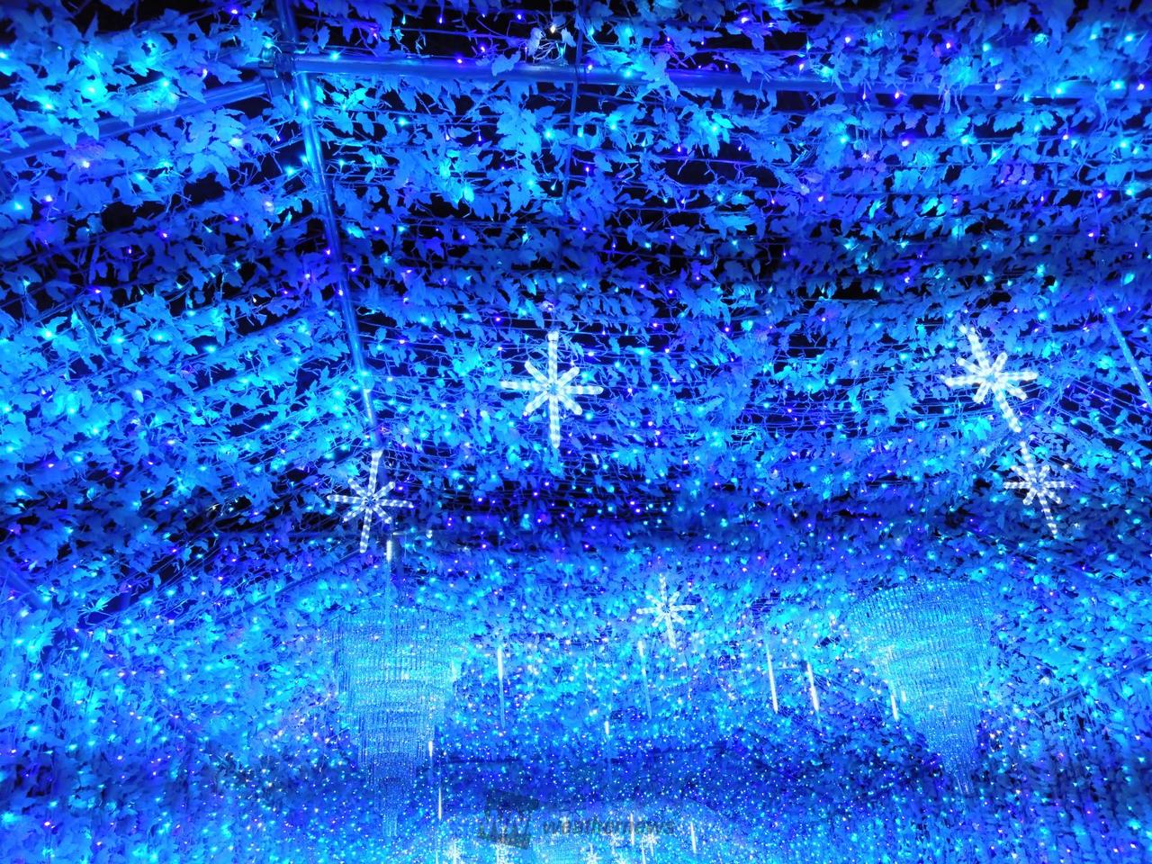 29日(日)の絶景写真 注目の空の写真 ウェザーニュース