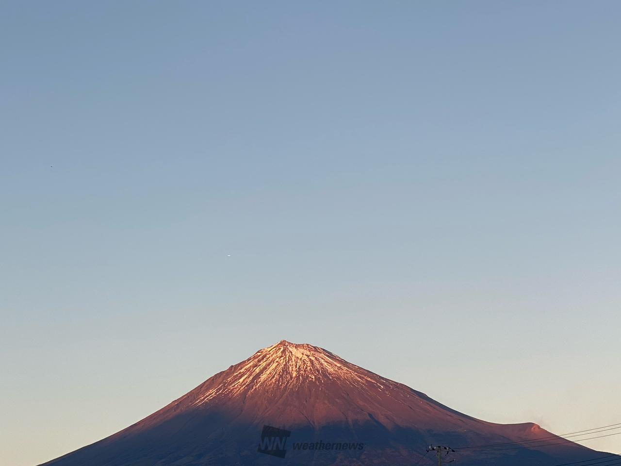 富士さん 富士の輝きさま専用 富士さま専用 富士の輝きさま専用 新無処理CTP