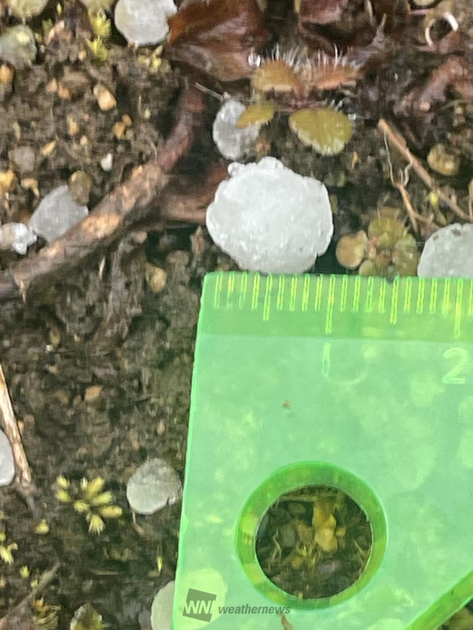 あられ様ご確認用 アラレカフェM｜東あられ本鋪の通販・お取り寄せなら【ぐるすぐり】