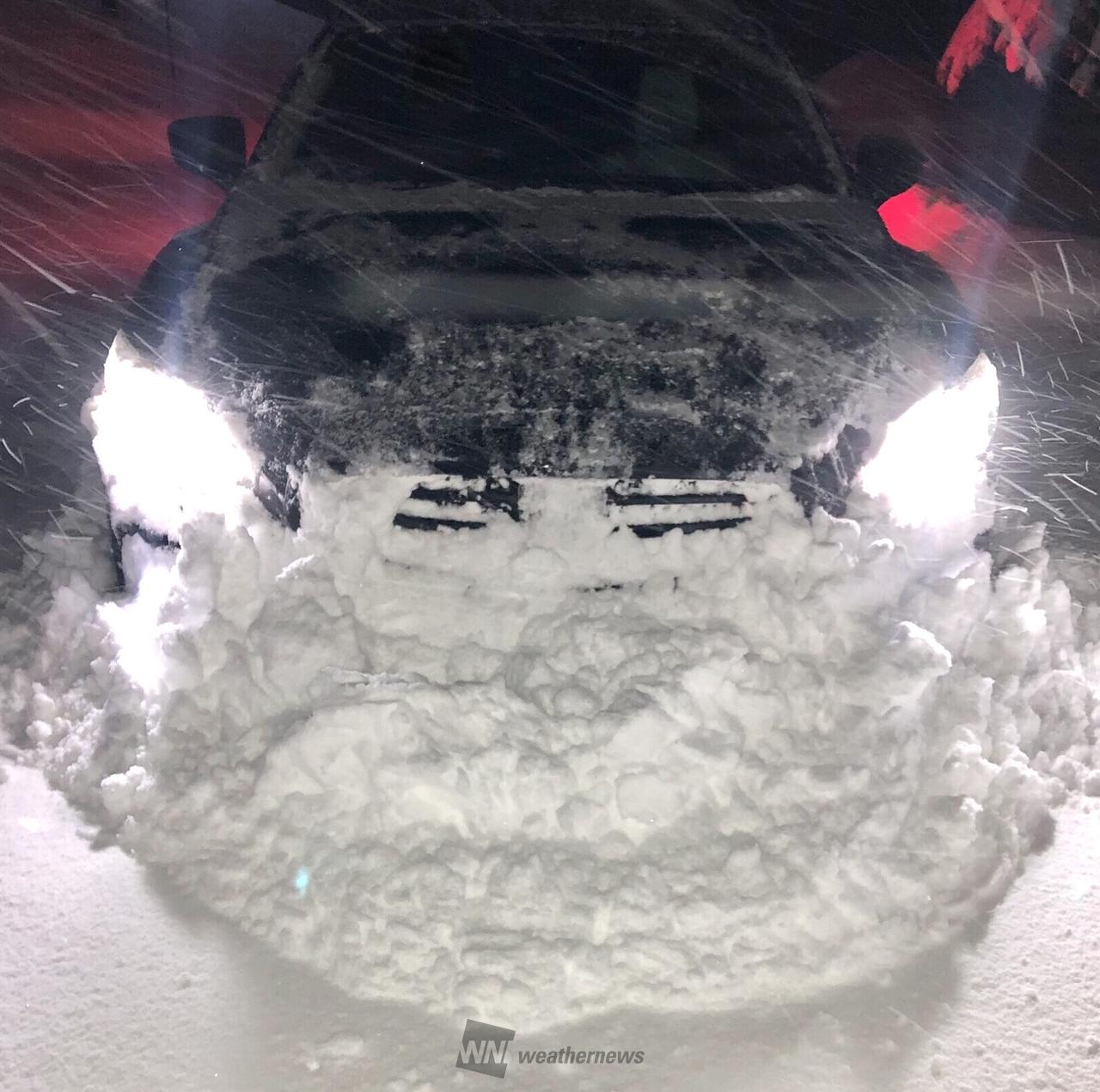 西日本も雪景色 注目の空の写真 ウェザーニュース