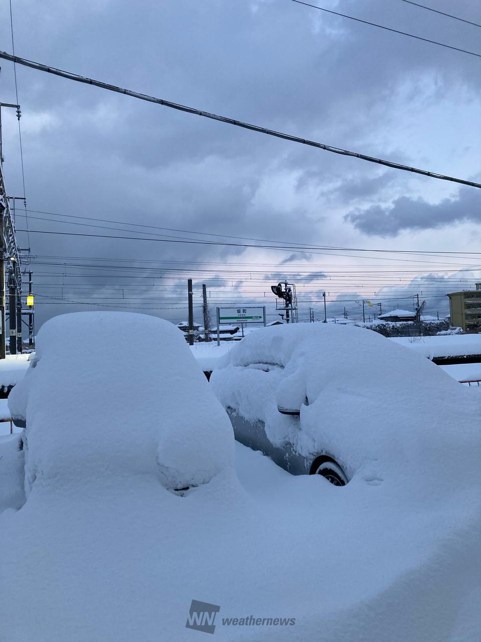 昨夜から積もった雪は今のところ収まっては | 新潟県村上市 | その通り