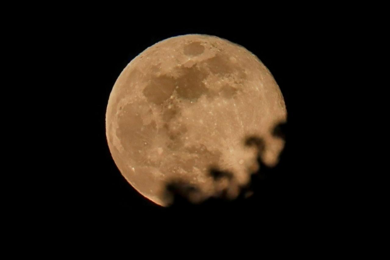 今年最初の満月 注目の空の写真 ウェザーニュース