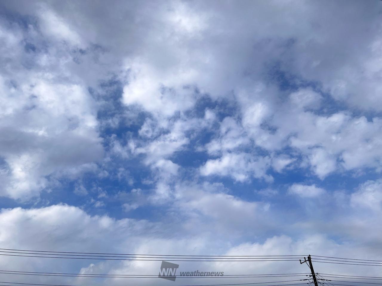 市 原市 天気