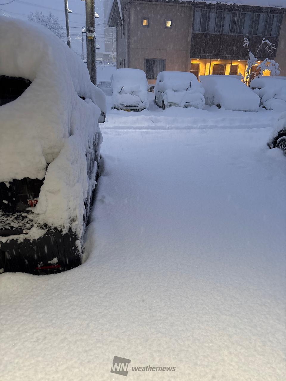 朝起きたらいきなり...