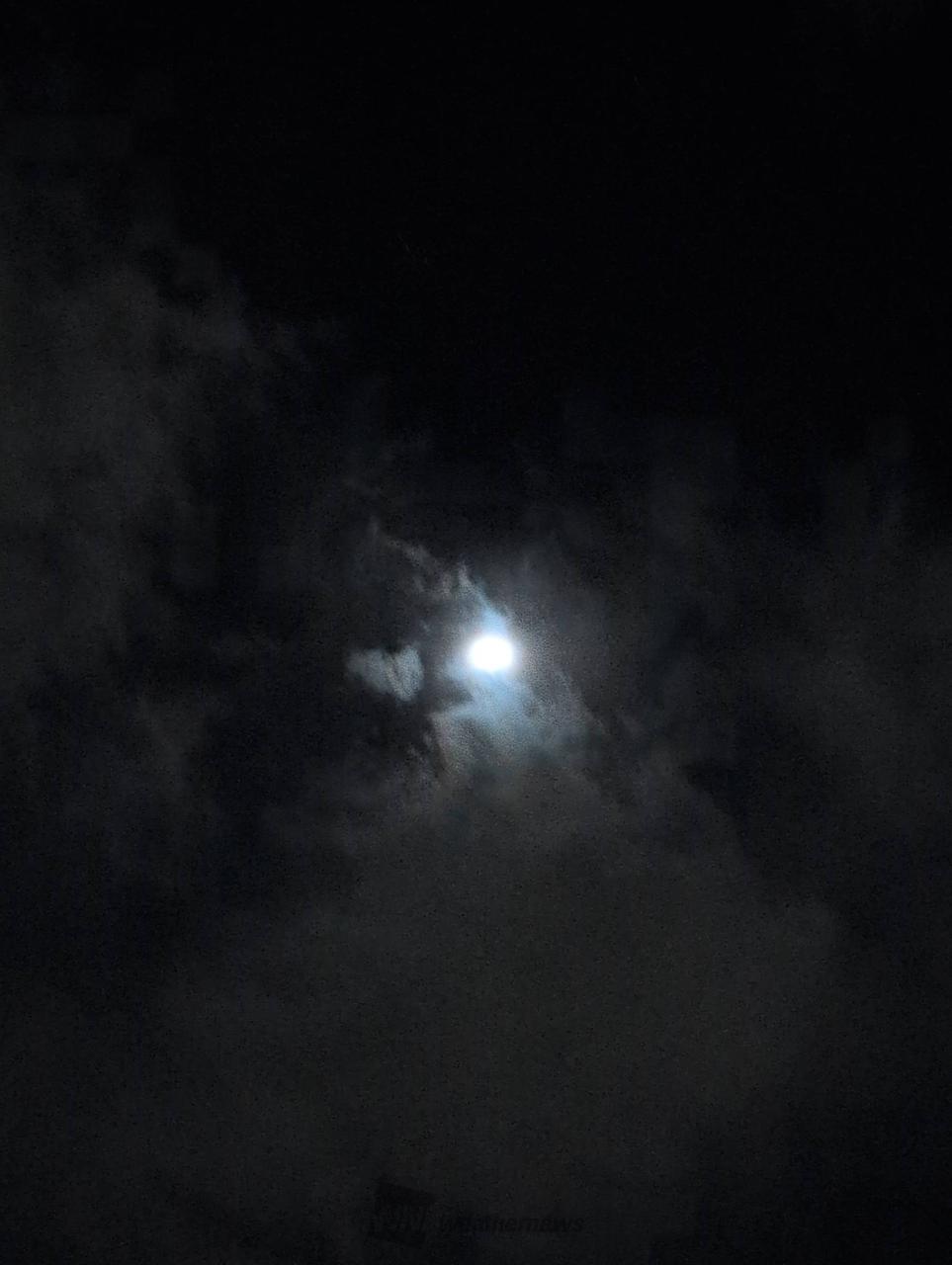 こんばんは半月が...