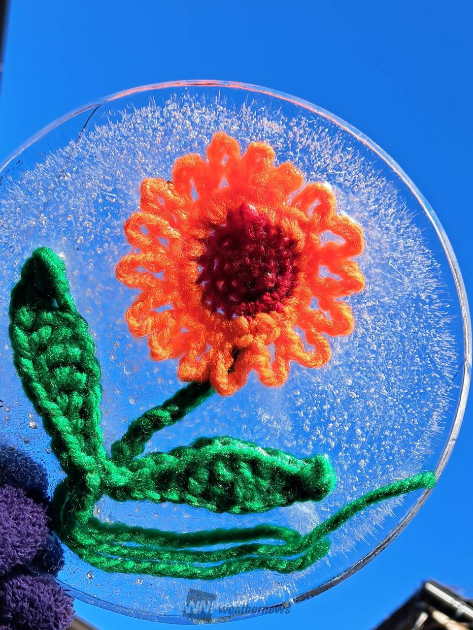 冬の芸術「氷アート」🧊 注目の空の写真 ウェザーニュース