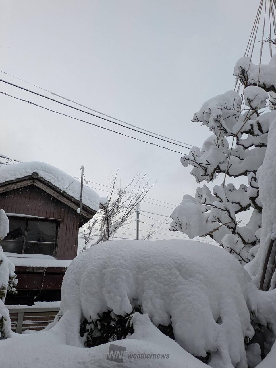 加茂 市 の 天気
