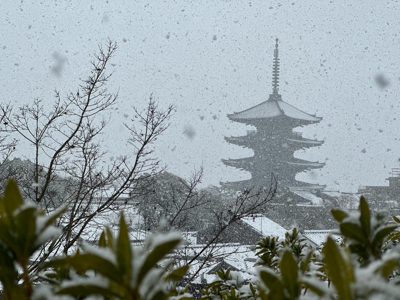 10時半ごろの八坂...