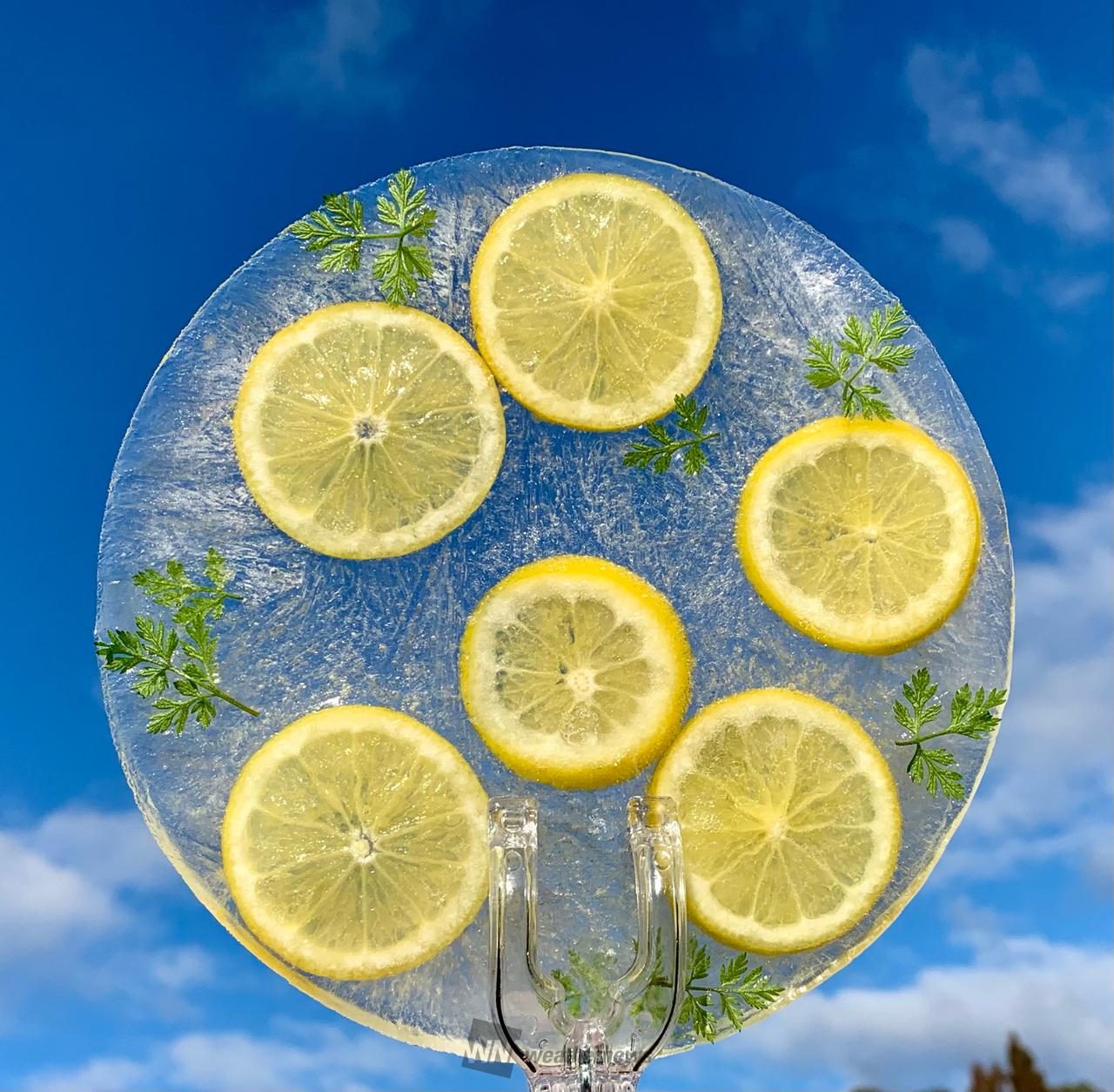 ICE BLUE MOON～氷の国～＊シーグラスアート レア PSA 10 GEM MINT