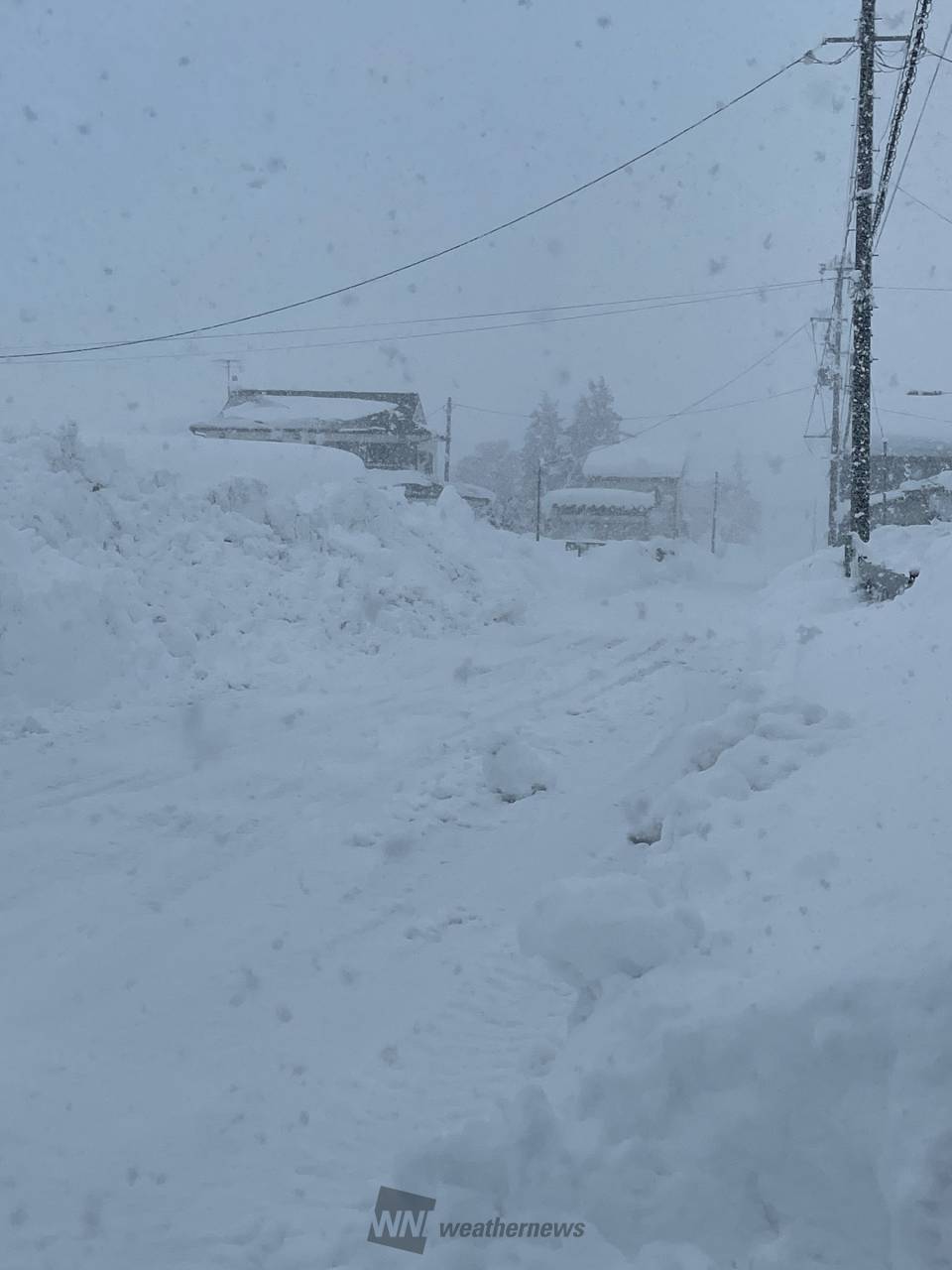 まつ降ってきた。キ...