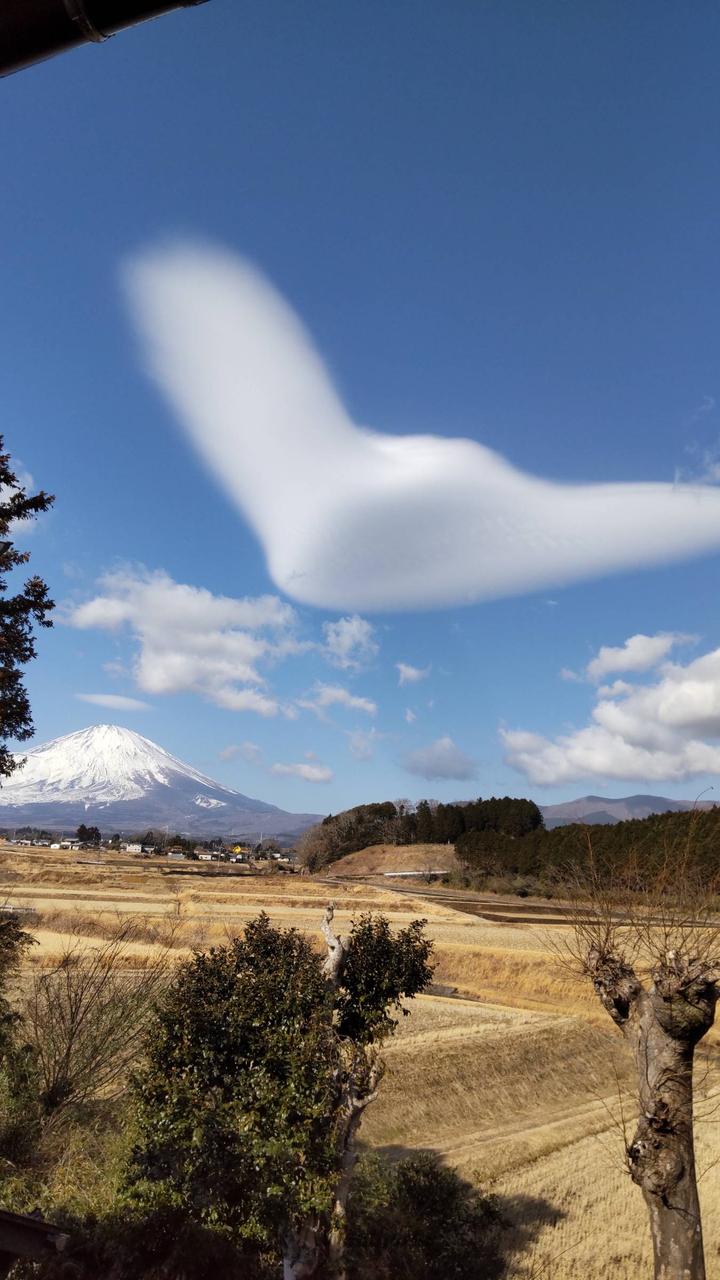 空には大きなブーメ...
