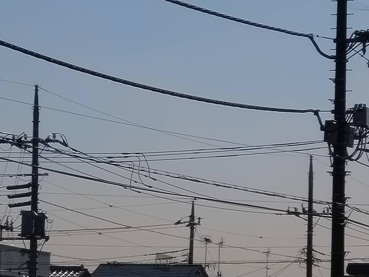 公の場での発言・インタビュー報道記録