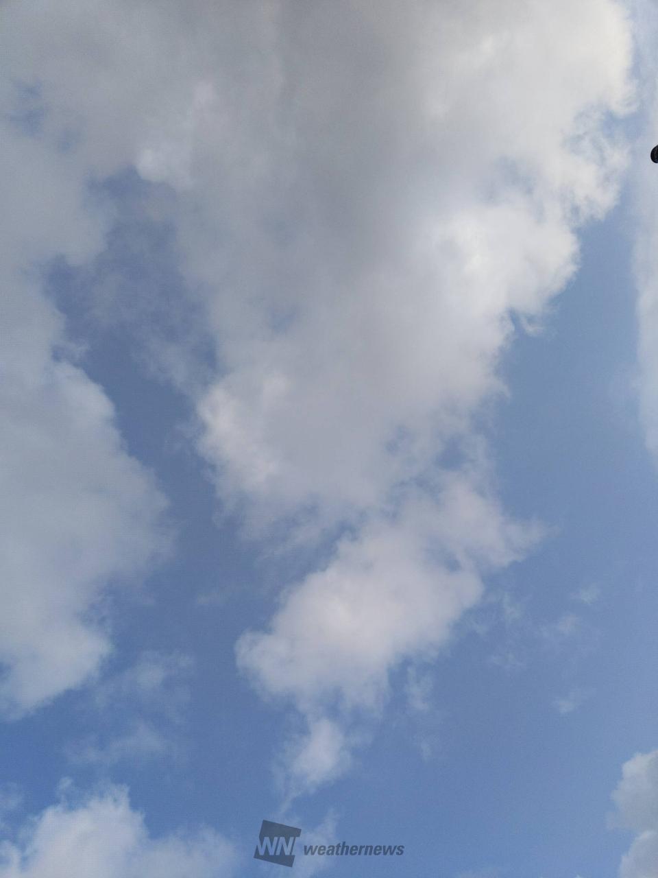 毎月16日はソライロの日 注目の空の写真 ウェザーニュース