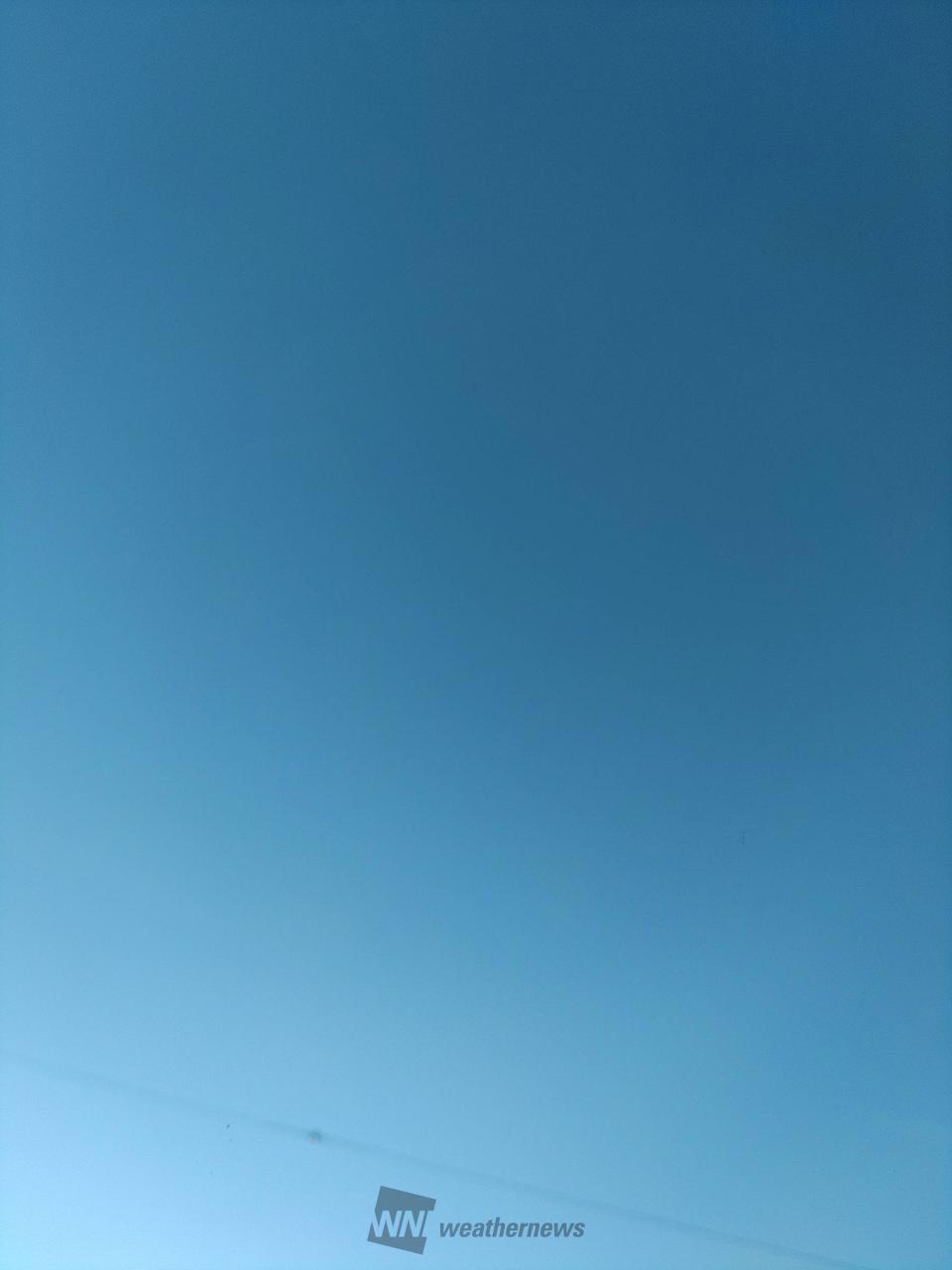 94098236.jpg