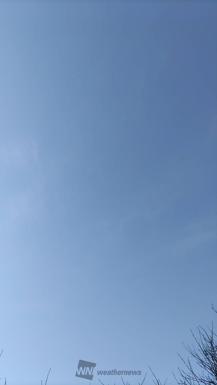 94098507.jpg