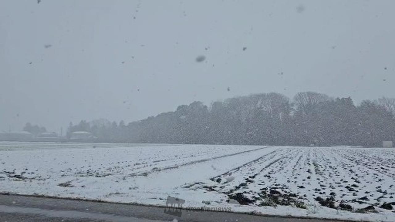 京滋・三重北部でも積雪 注目の空の写真 ウェザーニュース