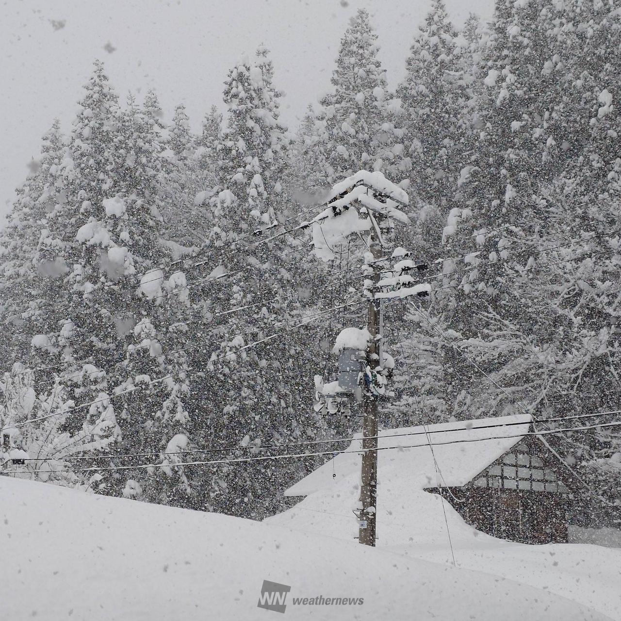 まだまだ、まだまだ...