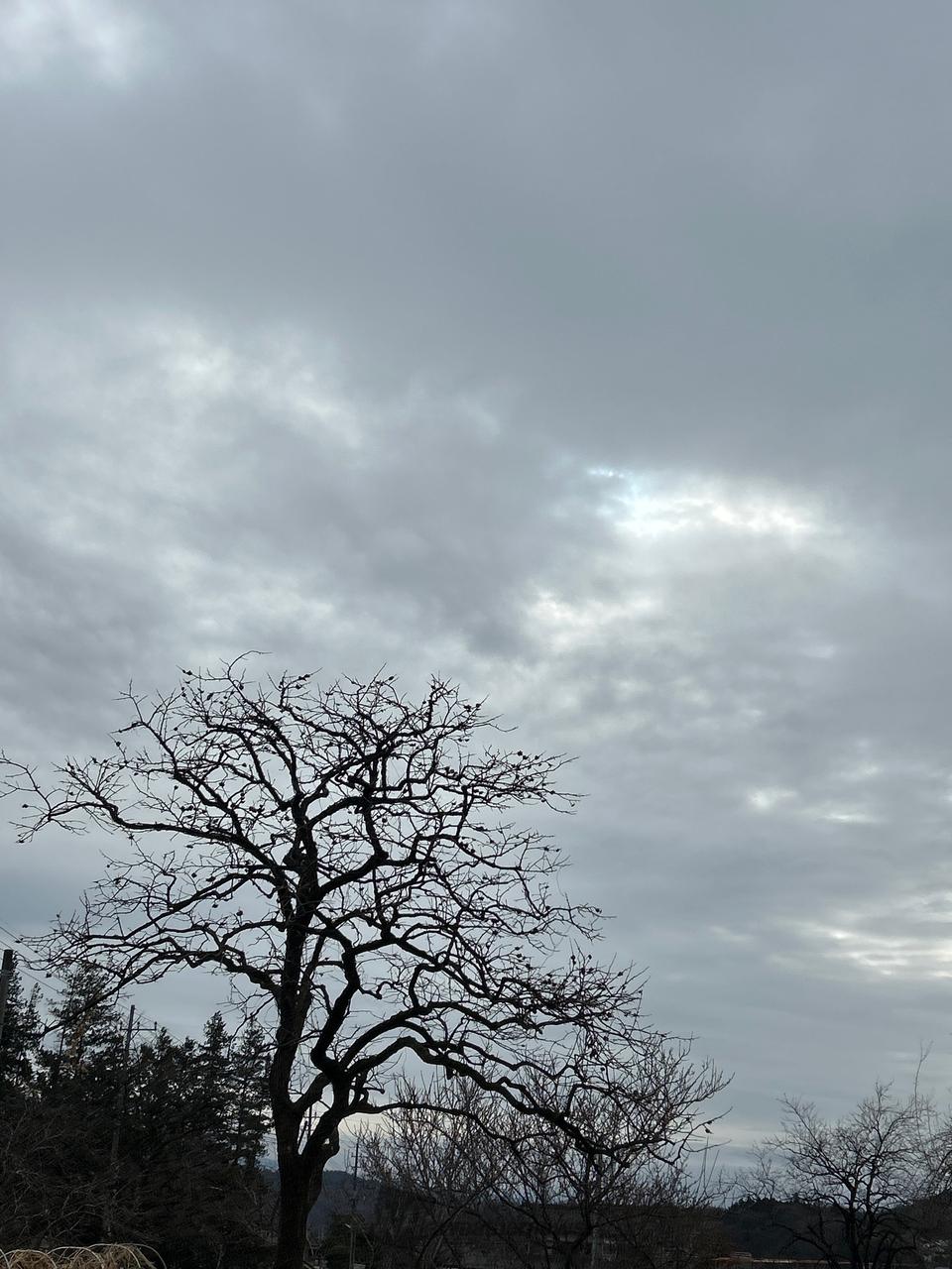 おはようございます お天気雲り空になりま | 山梨県北杜市 | こすも🦋 | ウェザーニュース