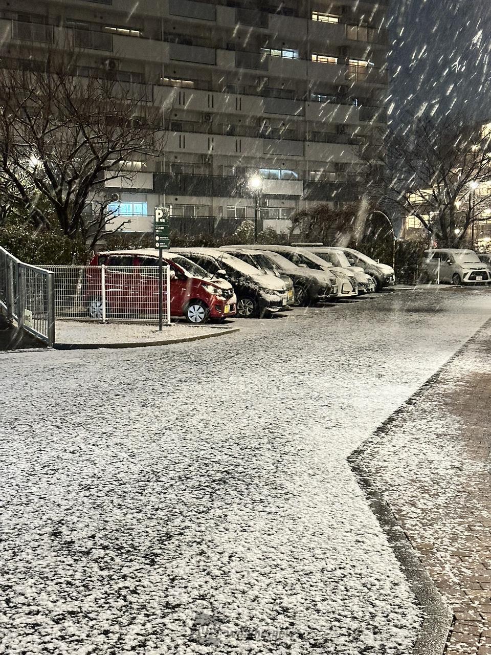 昨夜、平野部でも一部道路に積雪 注目の空の写真 ウェザーニュース