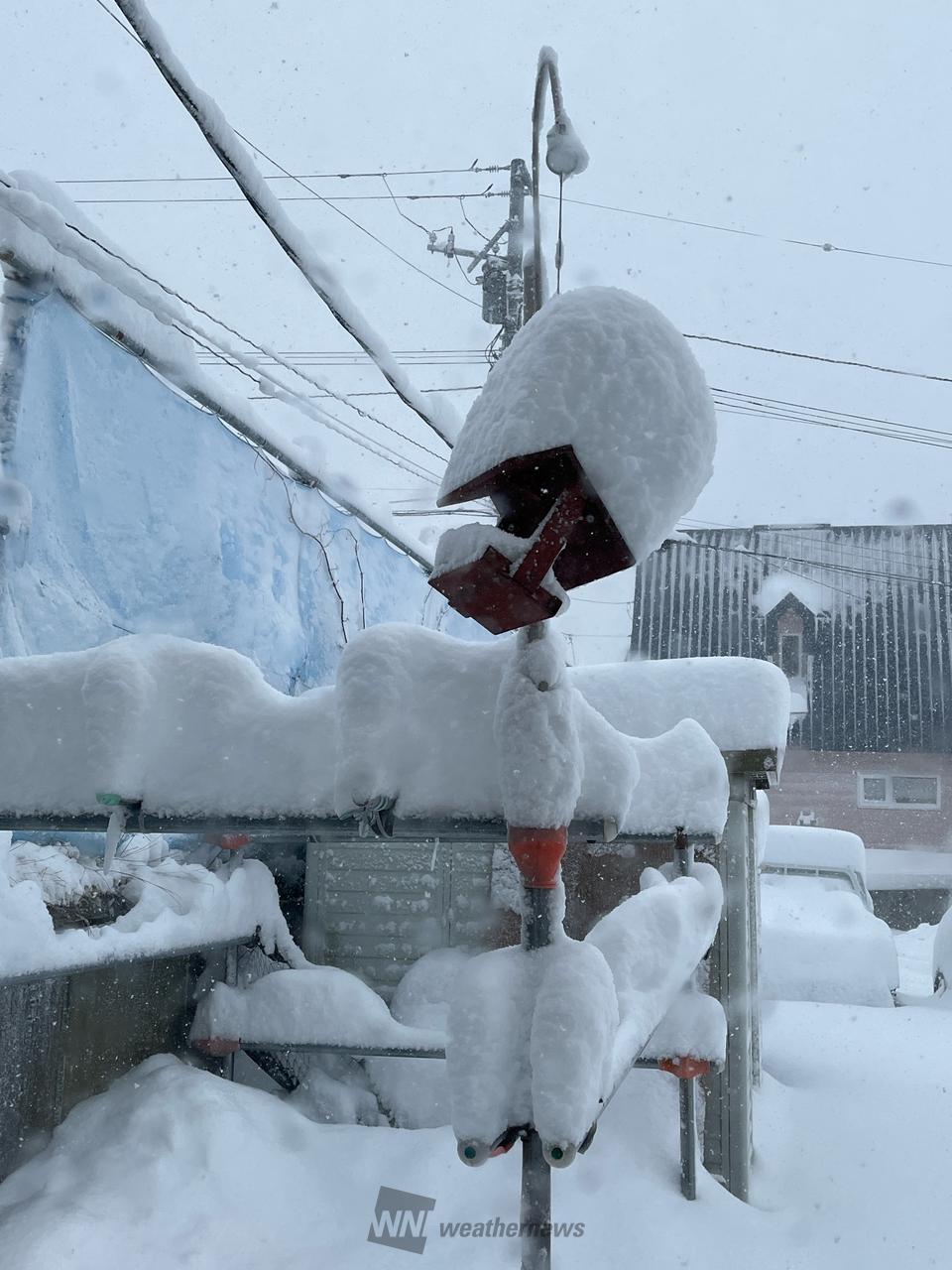 前回よりすごい