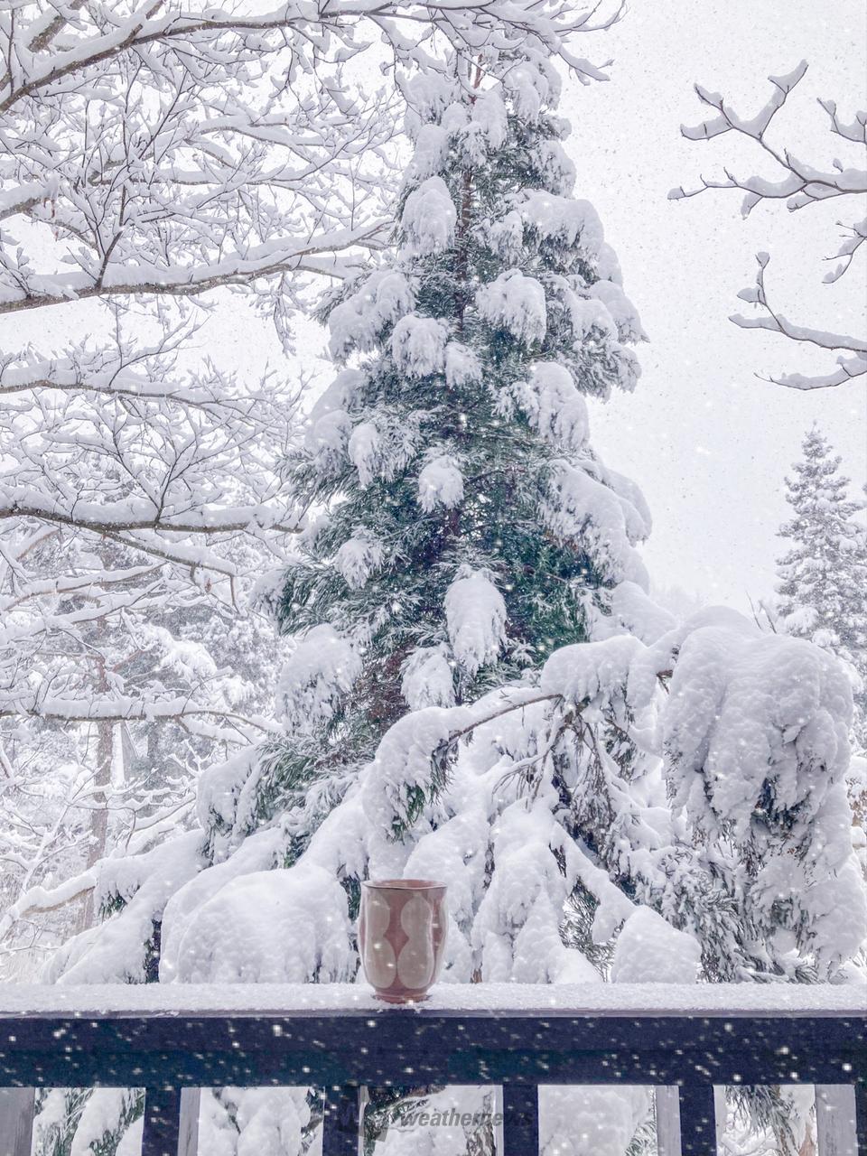 山中湖村より最後...