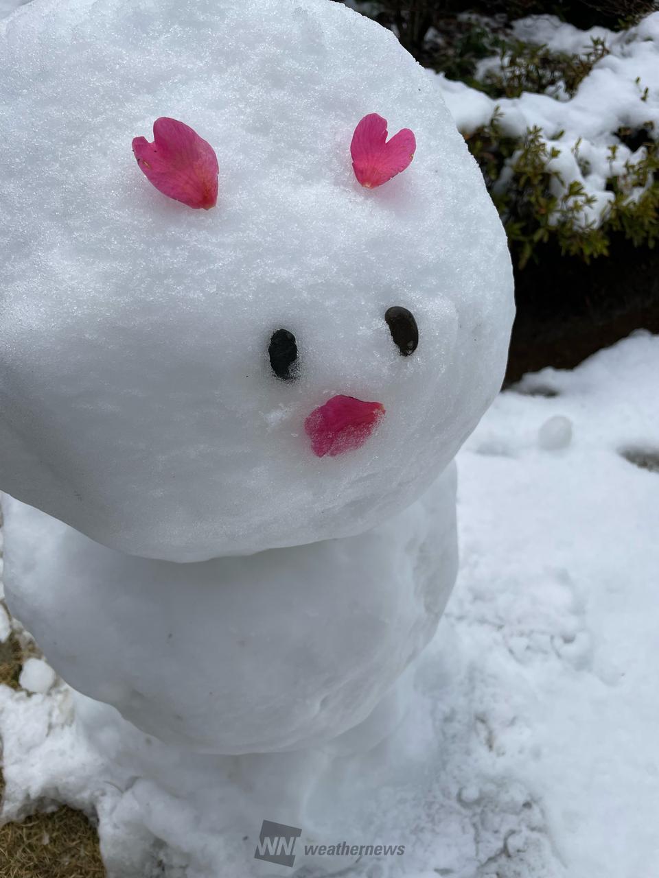 みんなの雪だるま⛄️ 注目の空の写真 ウェザーニュース