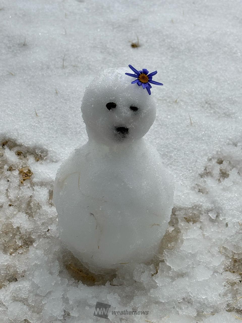 みんなの雪だるま⛄️ 注目の空の写真 ウェザーニュース