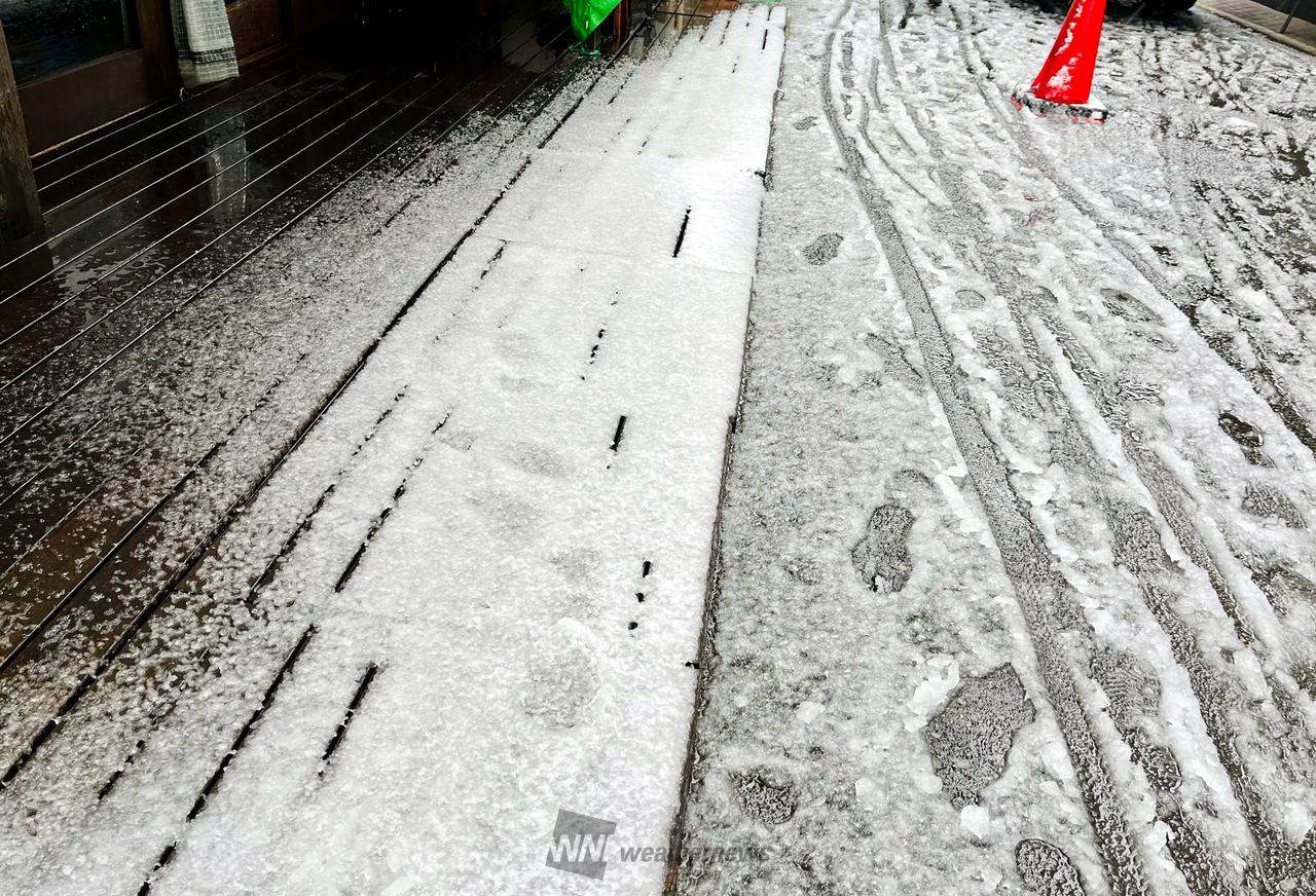 雨になって雪も溶...