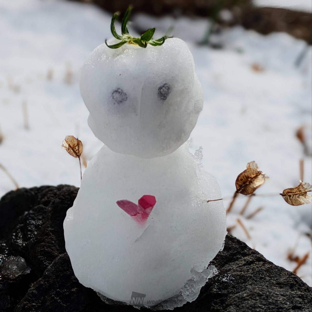 みんなの雪だるま⛄️ 注目の空の写真 ウェザーニュース